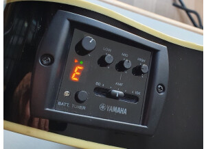 Yamaha APX500II