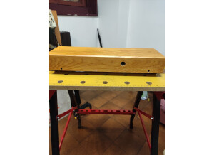Theremin5
