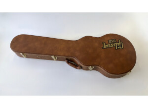 Gibson Les Paul Classic 2014 (10551)