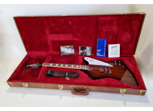 Gibson Firebird 2019 (51480)