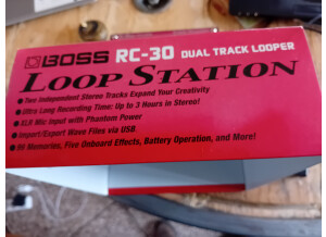 Boss RC-30 Loop Station