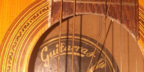 Vends guitare classique Segovia
