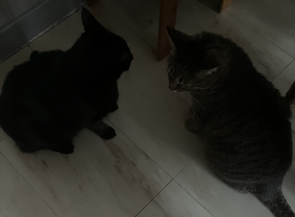 6031033.jpeg 6031033.jpeg
