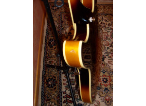 Ibanez AS120 (72631)