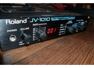 Roland JV-1010 (95162)