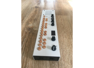 Critter and Guitari Organelle M (67597)