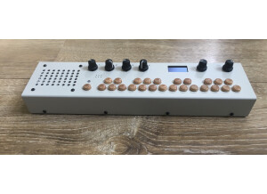 Critter and Guitari Organelle M (55236)