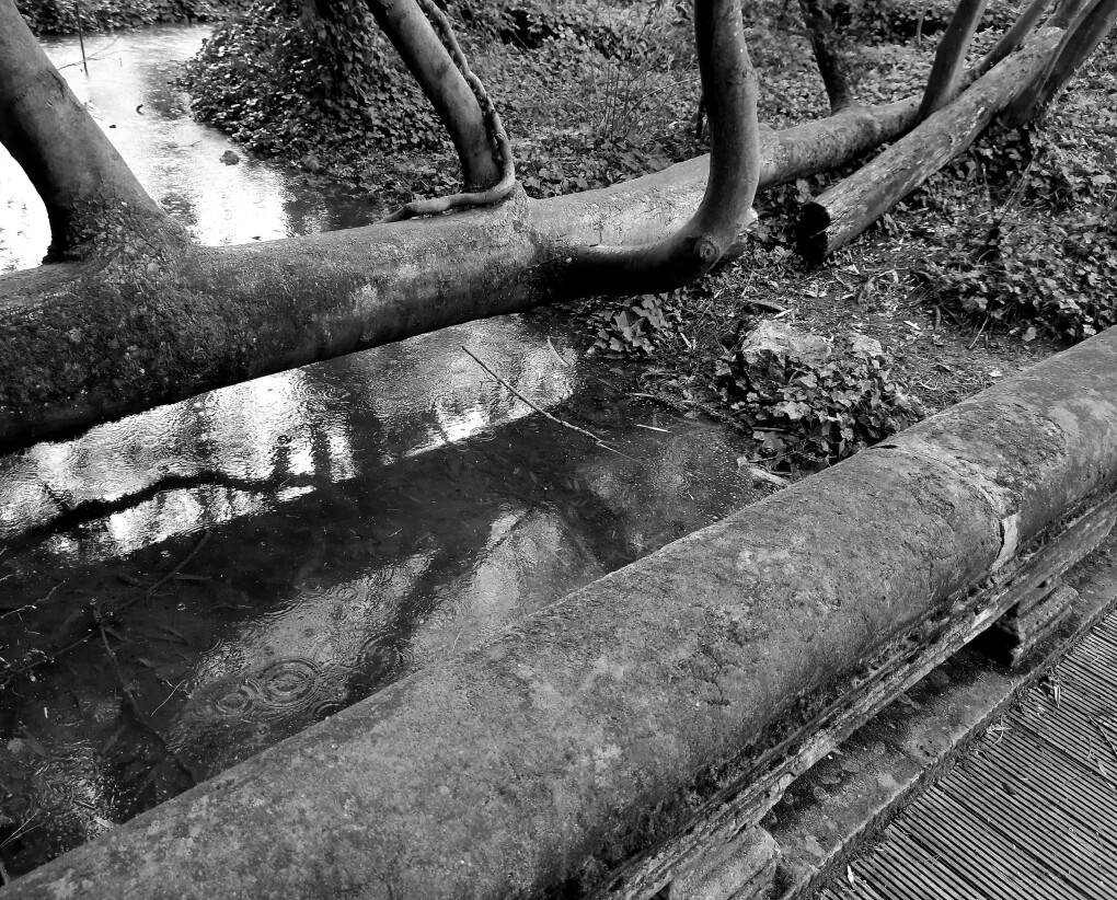 6035361.jpg 6035361.jpg