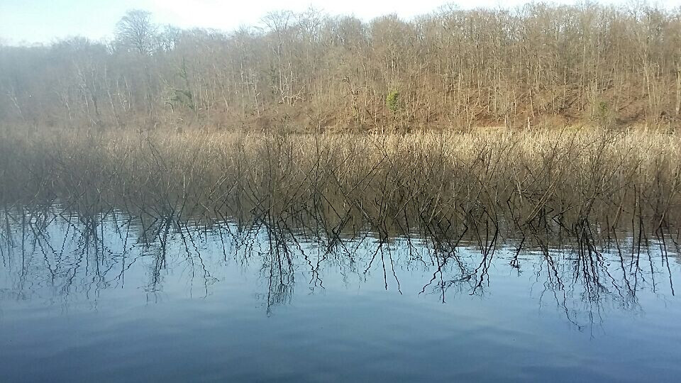 6035508.jpg 6035508.jpg