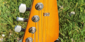 AV Stratocaster Warmoth