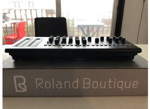 Roland JX-03 (59500)