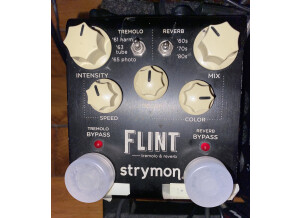 Strymon Flint