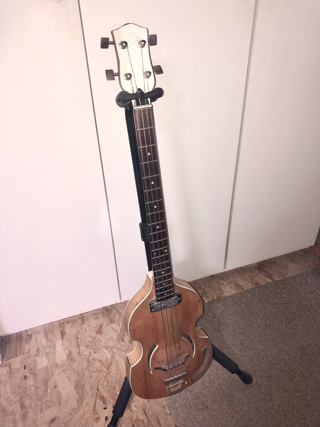 6036172.jpeg 6036172.jpeg