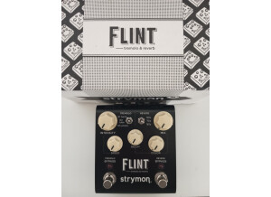 Strymon Flint