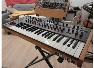 Dave Smith Instruments Pro 2 (36351)