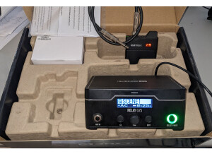 Line 6 Relay G75 (91278)