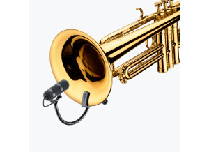DPA Microphones 4099T Brass