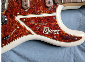 Burns Guitars Cobra