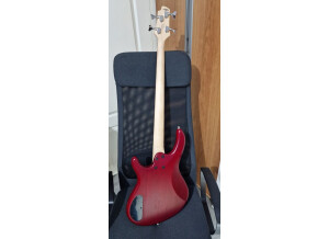 Cort Action PJ (4923)