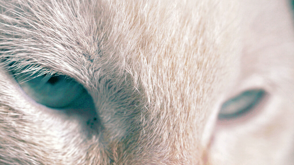 6038140.jpg 6038140.jpg