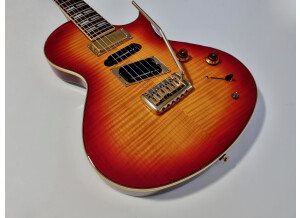 Epiphone Nighthawk Standard 3 (20465)