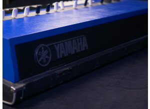 Yamaha YC-10