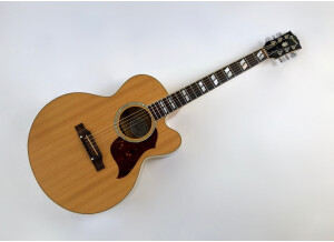 Gibson J-165 EC Rosewood (97606)