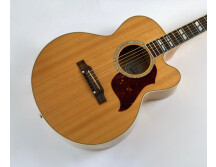 Gibson J-165 EC Rosewood (59418)