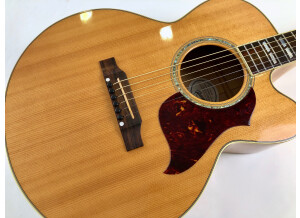 Gibson J-165 EC Rosewood (28386)