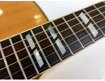 Gibson J-165 EC Rosewood (32550)