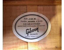 Gibson J-165 EC Rosewood (49812)