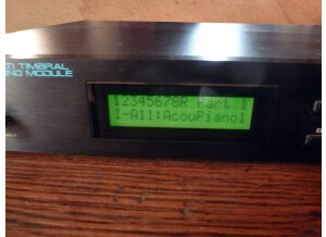 Roland D-110 (12597)