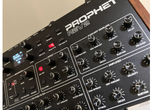 Dave Smith Instruments Prophet Rev2 Module 8 voix