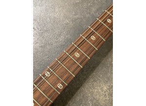 Music Man St. Vincent Signature HH (5245)