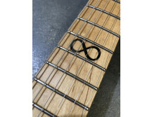 Chapman Guitars ML-3 Pro Traditional (63454)