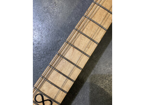 Chapman Guitars ML-3 Pro Traditional (92077)