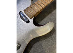 Chapman Guitars ML-3 Pro Traditional (59273)