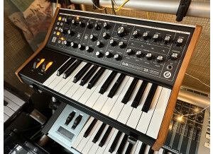 Moog Music Subsequent 25 (14584)