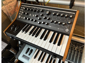 Moog Music Subsequent 25