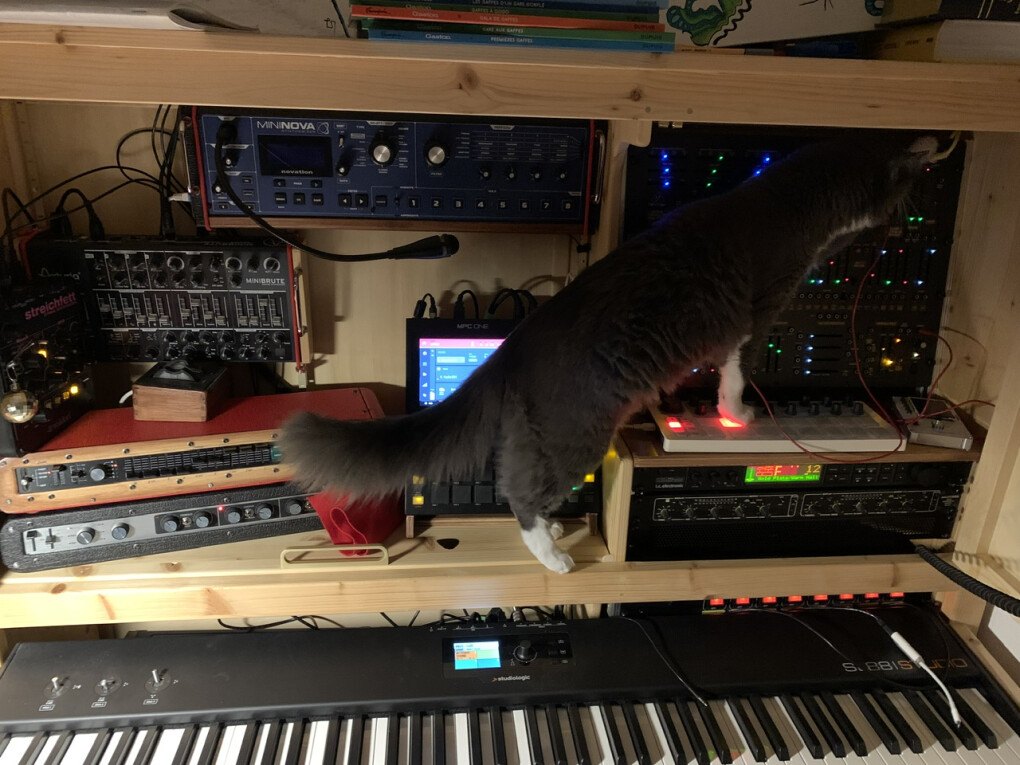 6041942.jpeg 6041942.jpeg