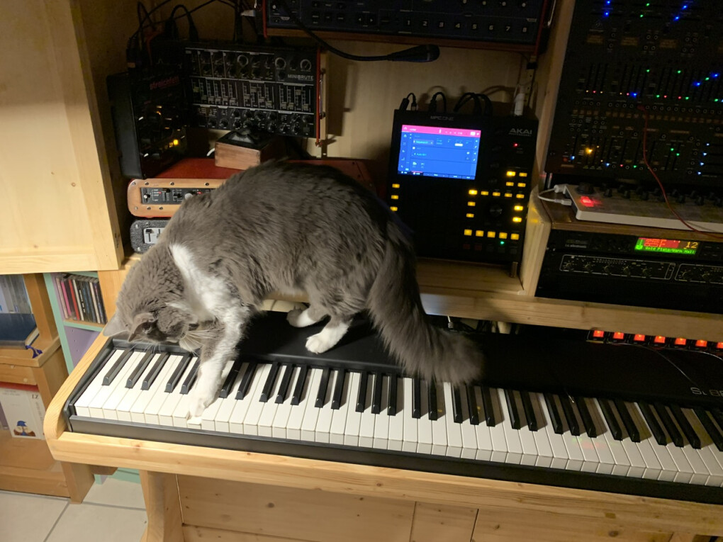 6041943.jpeg 6041943.jpeg