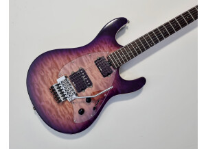 Music Man Steve Morse SM-Y2D (58083)