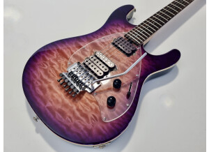 Music Man Steve Morse SM-Y2D (93916)