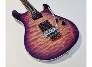 Music Man Steve Morse SM-Y2D (33330)