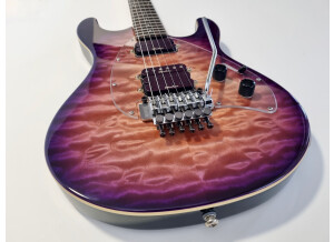 Music Man Steve Morse SM-Y2D (53407)