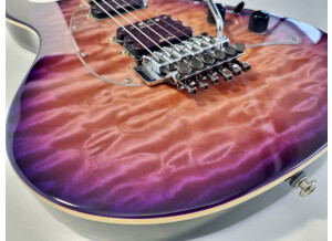 Music Man Steve Morse SM-Y2D (33922)