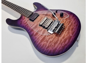 Music Man Steve Morse SM-Y2D (53833)