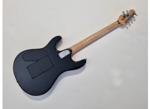 Music Man Steve Morse SM-Y2D (453)