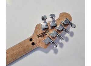 Music Man Steve Morse SM-Y2D (50382)