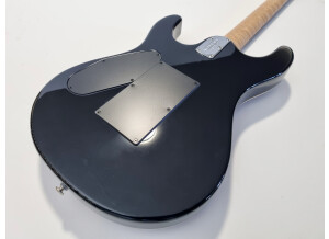 Music Man Steve Morse SM-Y2D (39030)
